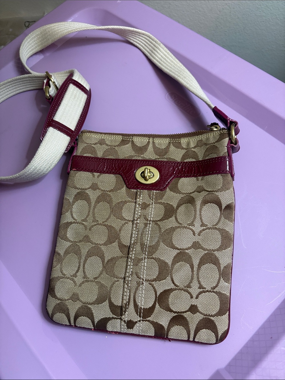 Signature Canvas Crossbody Bag in Beige and Burgundy